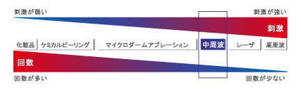 デルマトロン解説図