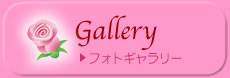 フォトギャラリー