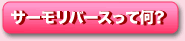 サーモリバースって何?
